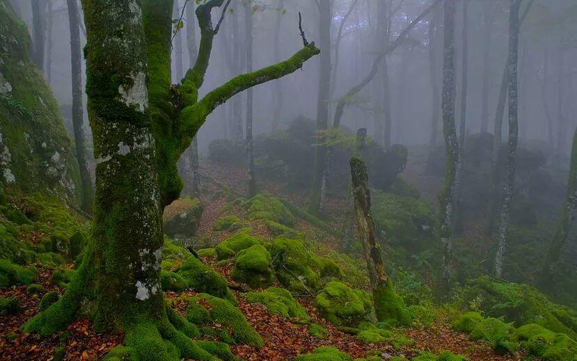 Albergue Armaia Artepea Urzainqui エクステリア 写真